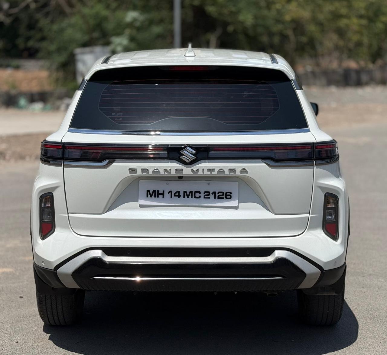 Grand Vitara Petrol CNG